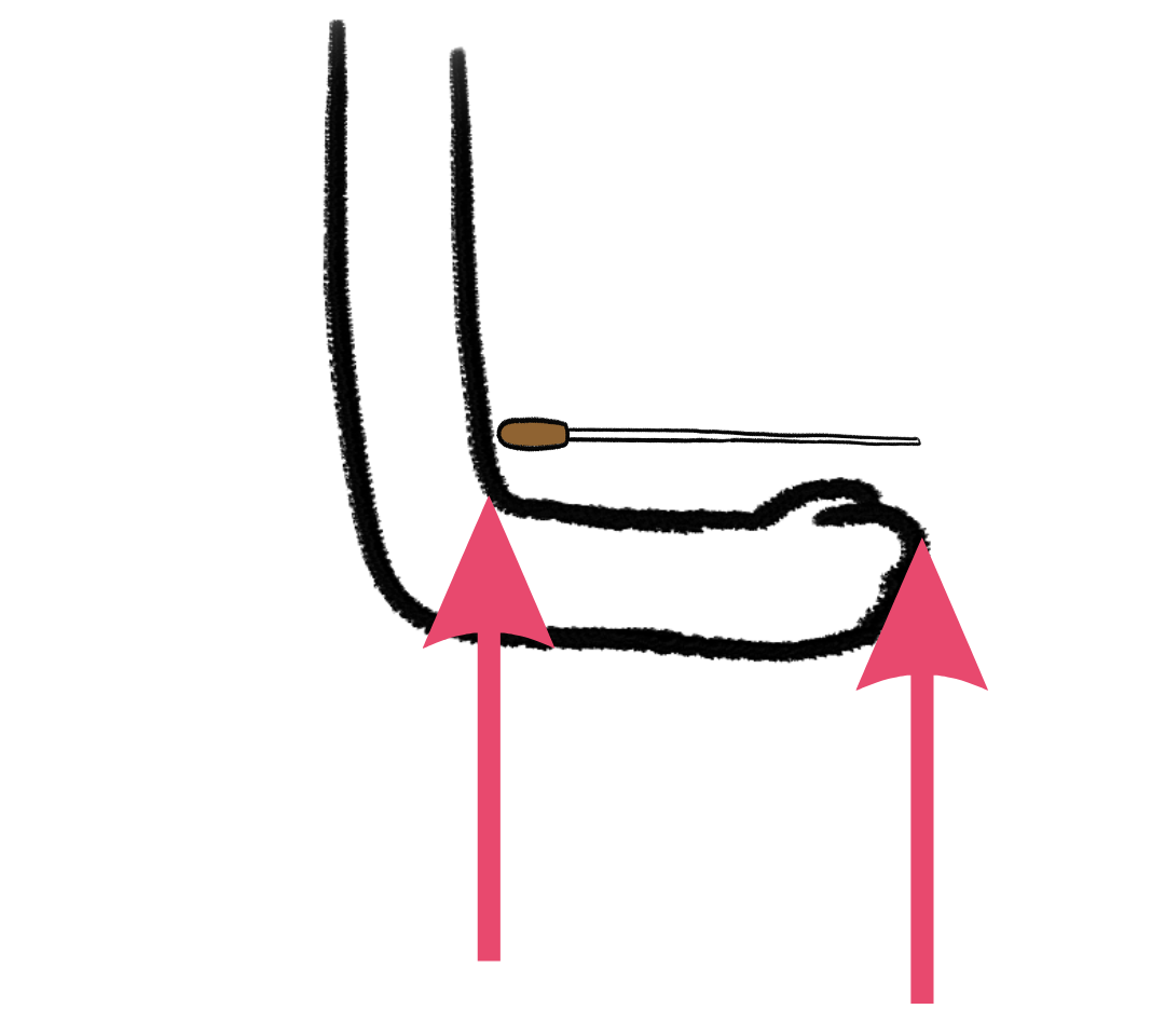 【指揮棒選び方】初心者の指揮棒選び方 どれがいい?? 【しきまな】指揮者と学べる指揮の振り方教室